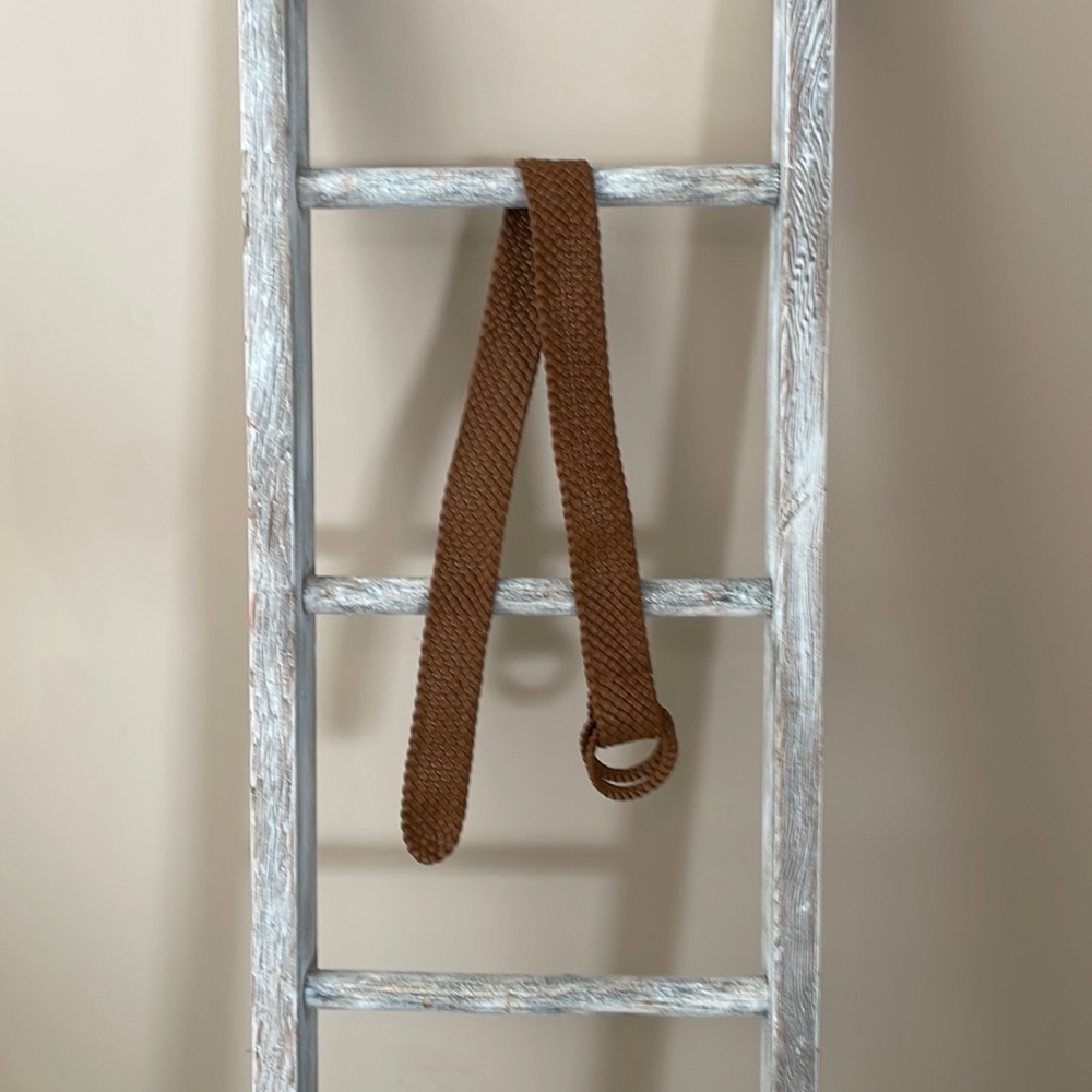 Brown Belt by The Limited